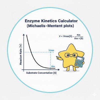 Enzyme Kinetics Calculator — Michaelis–Menten curve preview